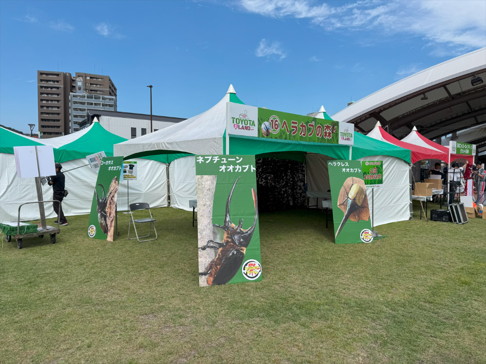鹿児島TOYOTA